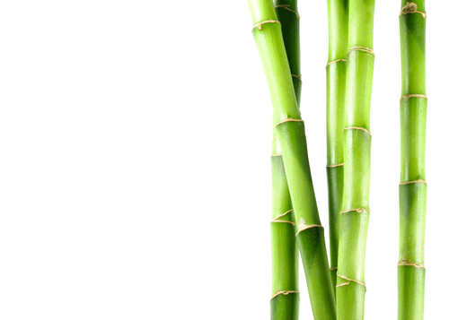 bamboo store